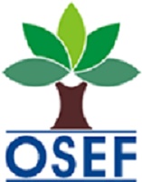 Благотворительность заразительна? Победители конкурса OSEF в номинации «Лучший студент» решили создать собственный фонд по поддержке талантливых студентов