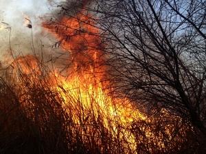 Вчерашний пожар в Куйбышево мог уничтожить дачи