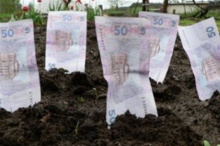 Суд увеличил белозерскому фермеру арендную плату за землю