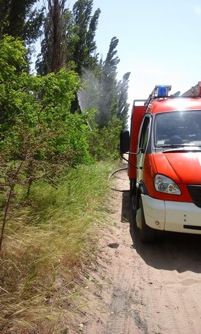 В Цюрупинском районе горел лес