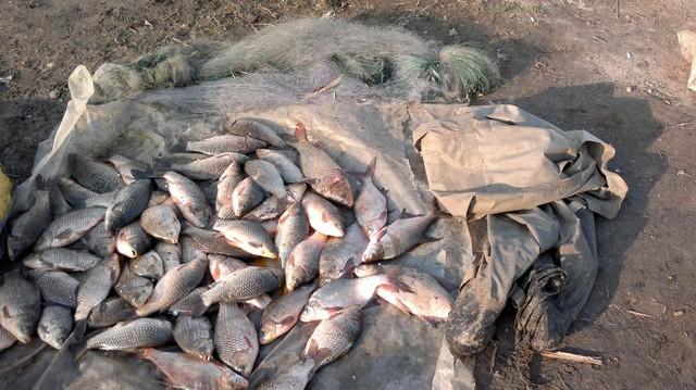 Херсонские рыбинспекторы за месяц "выловили" 65 браконьеров