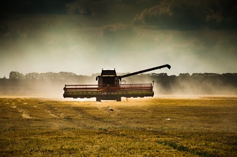 Дожди приостановили уборку зерновых на Херсонщине