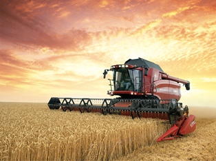 Аграрии Херсонщины уже собрали 1,2 млн. т зерна