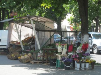 Одесса наводнена херсонскими дынями и арбузами