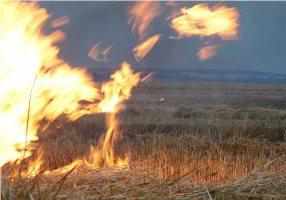 Похолодание снизило пожарную опасность на полях Херсонщины