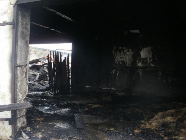 В Новотроицком из-за человеческой неосторожности сгорел сарай и 2500 тюков соломы