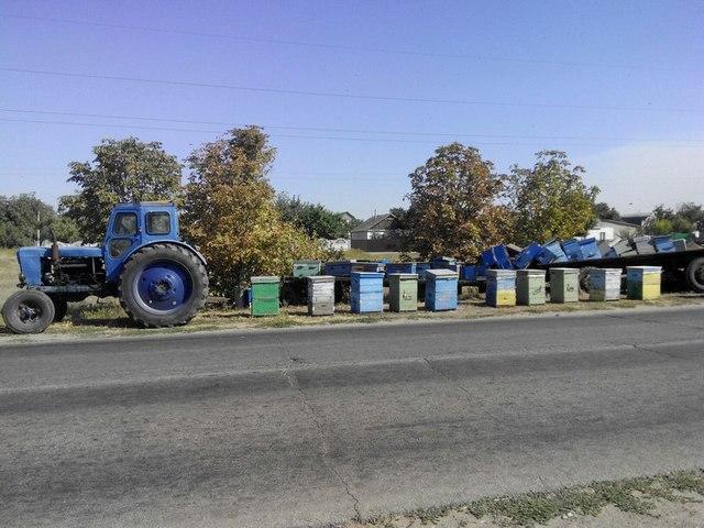 В Каховском районе трактор, перевозивший пчёл, попал в ДТП