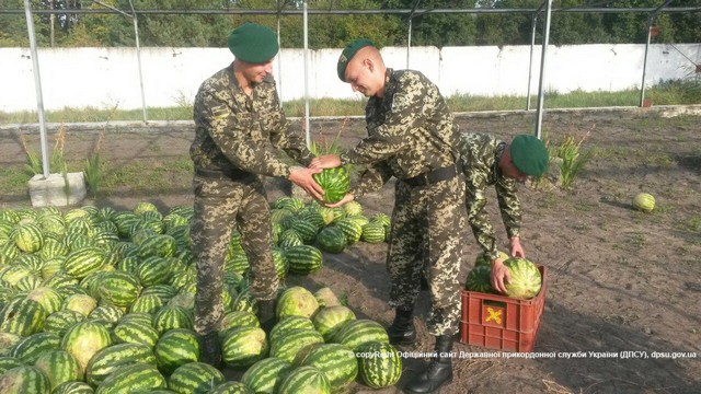 Фермеры Херсонщины собрали для пограничников 40 тонн арбузов