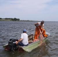 На Каркинитском заливе задержали любителей морепродуктов