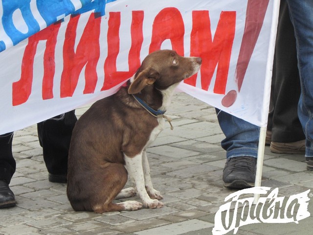 В центре Херсона митинговали евромайдановцы и экс-коммунисты