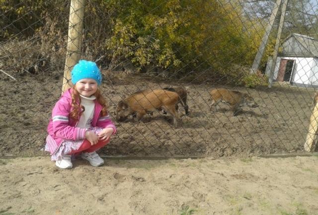 В Ивановке лесники спасли 10 диких поросят