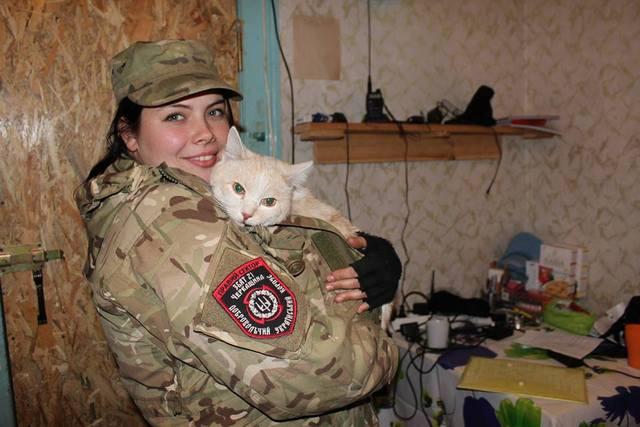 Из оккупированного Крыма бегут даже коты
