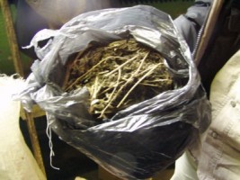 Херсонская милиция во время обыска нашла 700 гр конопли