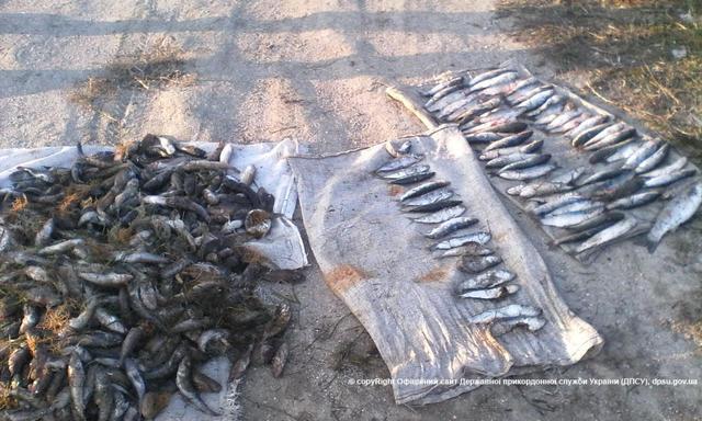 Пограничники задержали 8 браконьеров, которые налови сетками рыбы на 280 тысяч гривен