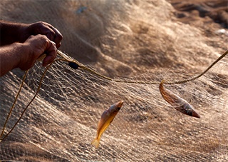 У рыбака в Большой Лепетихе украли сети вмести с уловом