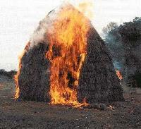 В Балтазаровке выгорело сено на 6 тысяч гривен