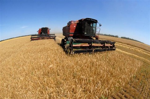 Херсонщина стала лидером среди областей Украины по производству сельхозпродукции