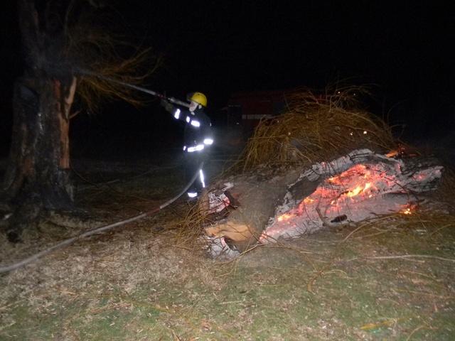 В Каховке ночью тушили 6-метровое дерево