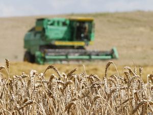 Херсонским фермерам за год выплатили более 9 млн. грн. компенсации по кредитам