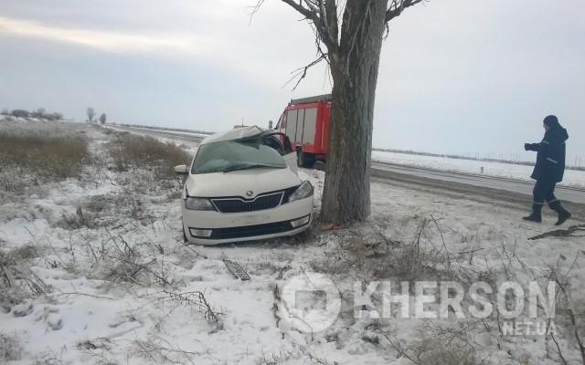 На Бериславской трассе автомобиль врезался в дерево