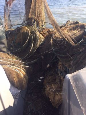 На Джарылгаче рыбинспекция нашла 38 браконьерксих сетьей