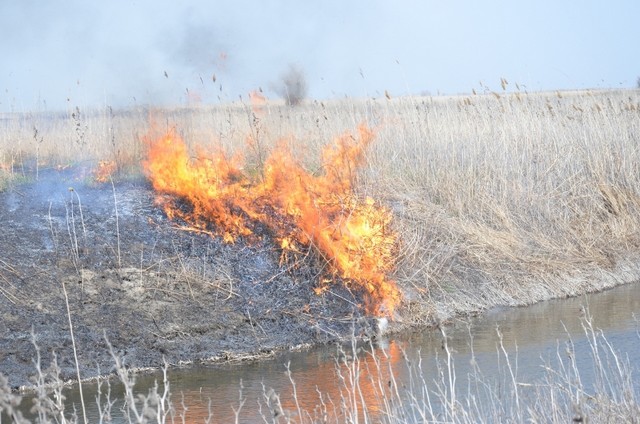 За сутки в Херсонской области зафиксированы шесть возгораний сухой травы и камыша