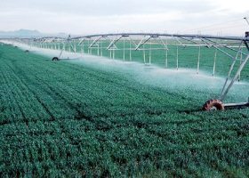 Институт развития аграрных рынков объявил тендеры на реконструкцию мелиоративных систем на Херсонщине