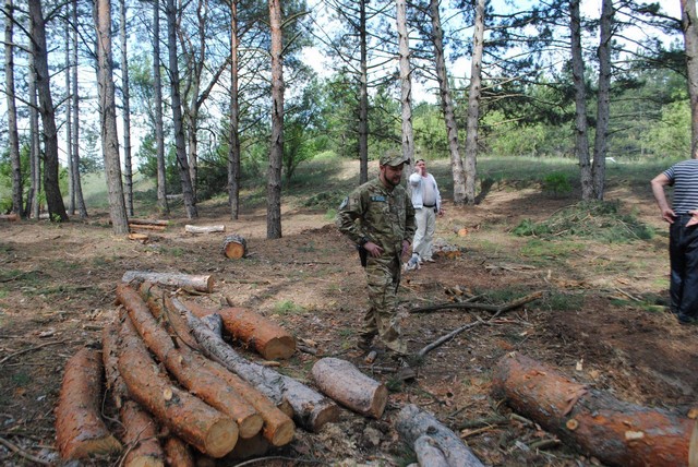 Херсонская госэкоинспекция обещает навести порядок с порубкой леса возле Казацких Лагерей