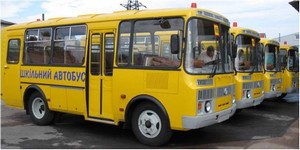 Из-за подорожания область не сможет закупить нужное количество школьных автобусов