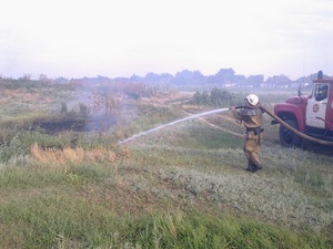 На Херсонщине масштабные пожары сухостоев