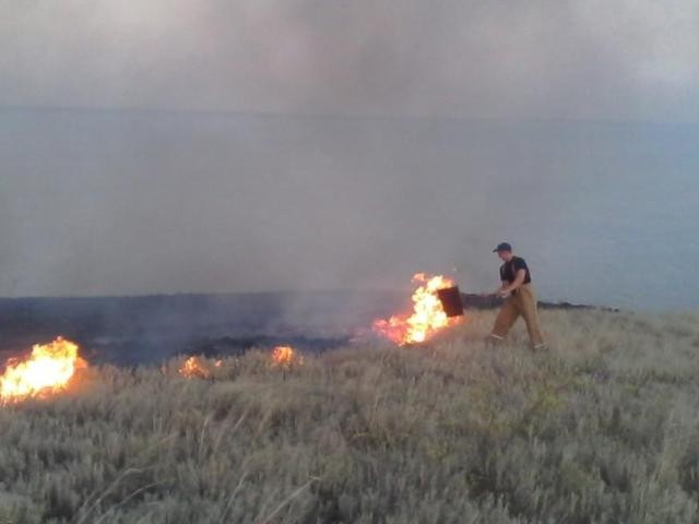Вчера на Херсонщине 30 раз горела сухая трава
