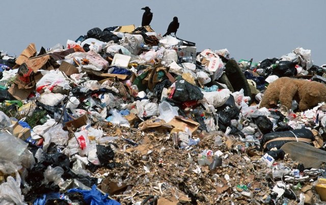Госэкоинспекции добилась вывоза мусора на полигон ТБО в Херсоне только по договорам