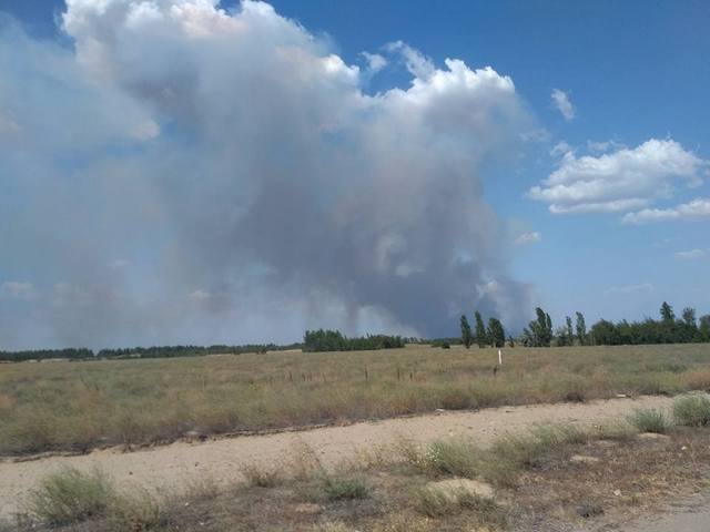 В километре от Казачьих Лагерей горит лесопосадка