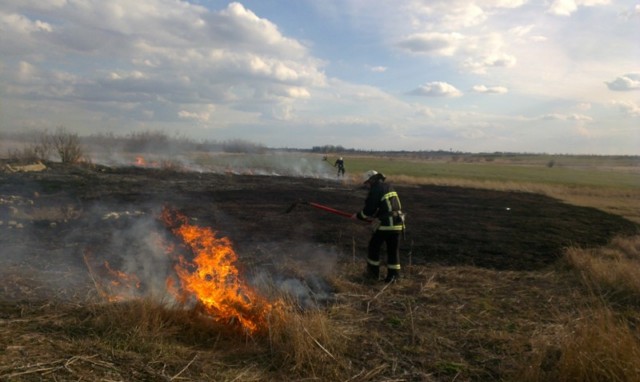 За минувшие сутки на открытых территориях Херсонской области в 9-ти случаях горел сухостой