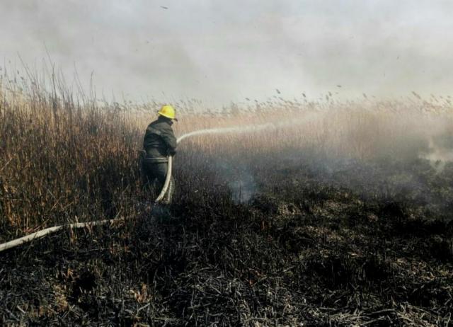 За прошедшие сутки произошло 13 пожаров в экосистемах