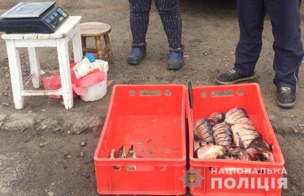 В Олешках выявили факт незаконной торговли рыбой