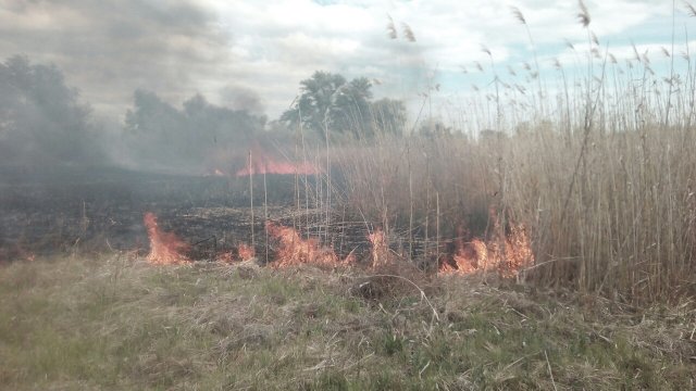 Вчера на Херсонщине дважды горели камыши и сухая трава
