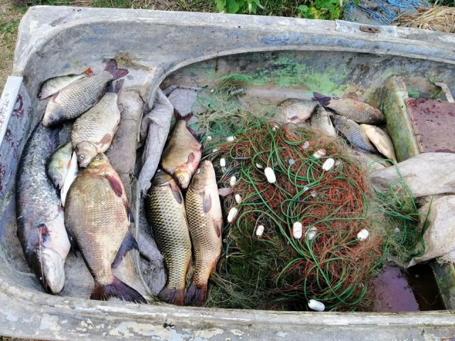 Херсонский рыбоохранный патруль задержал браконьера с уловом возле острова Янушев