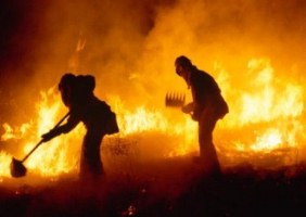 Полиция устанавливает причины возгорания леса в Голопристанском районе