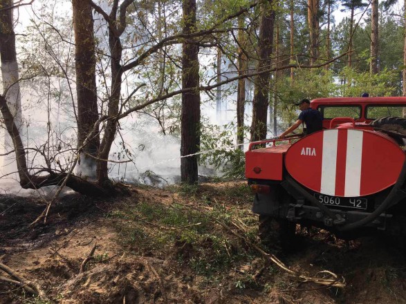 Черниговская и Херсонская области стали лидерами по количеству лесных пожаров с начала года
