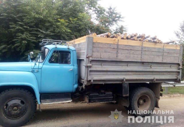 На стационарном посту «Шилова Балка» полицейские проверяли законность перевозки древесины