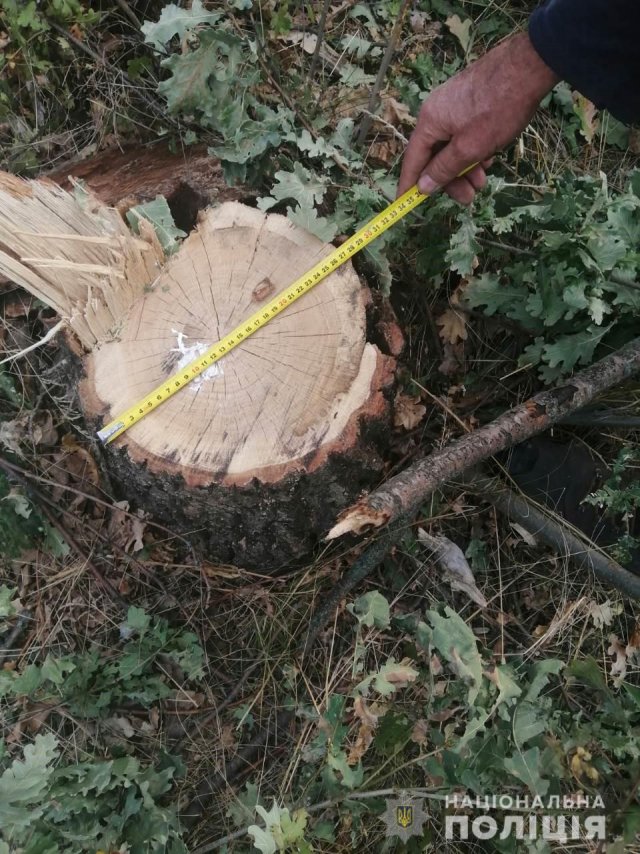 Полицейские разыскивают лесных браконьеров в Бериславском районе