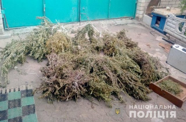 Полицейские изъяли у жителя областного центра 5 кг конопли