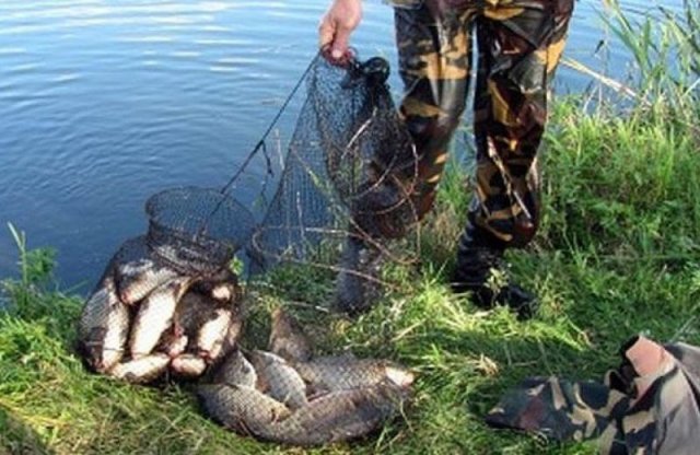 Геничанин заплатит более 80 тысяч гривен за незаконный вылов рыбы