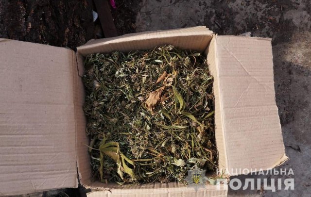 Олешковские полицейские изъяли у местного жителя полтора килограмма каннабиса