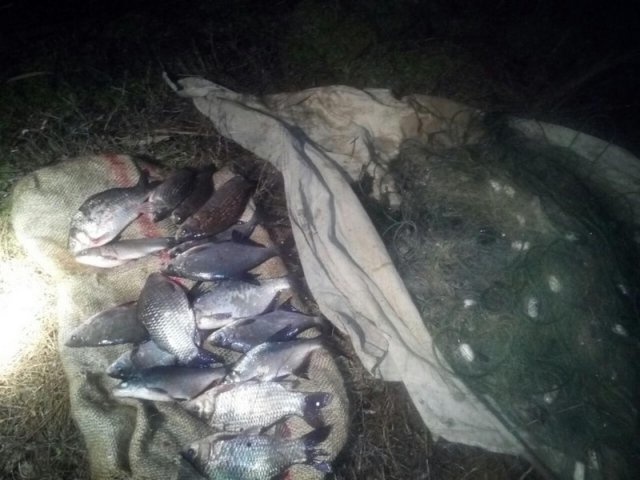 В Голопристанском районе задержали браконьеров с уловом - больше центнера рыбы