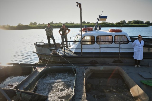 Днепровский рыборазводной завод выпустил в Днепр больше рыбы, чем планировалось
