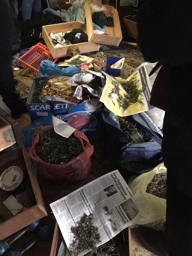В Геническе полиция раскрыла наркоманов, которые употребляли марихуану и таблетки