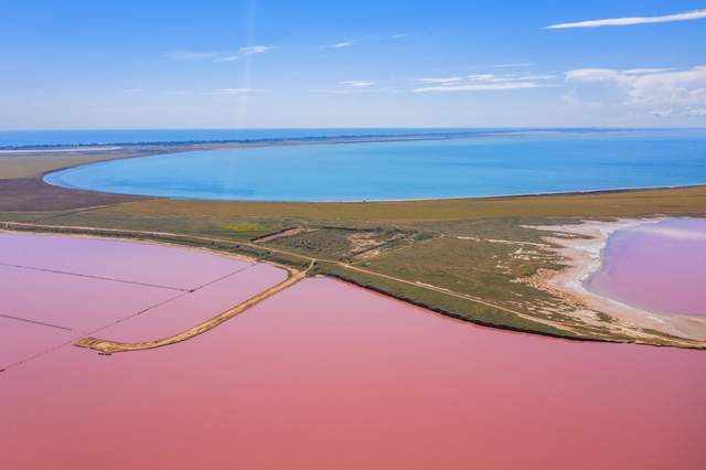 Розовые озера Херсонщины показали с высоты птичьего полета: удивительные фото и видео