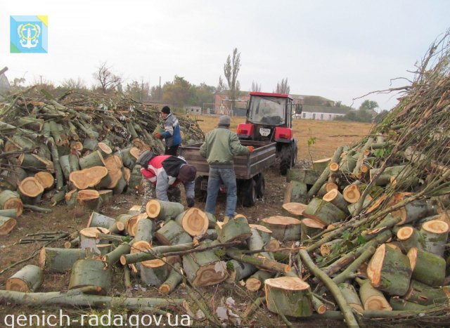 В Генической общине обеспечивают дровами льготные категории населения